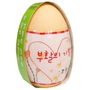 신기한 부활절 달걀 화분(작두콩 기르기)