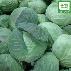 [하나로농수산] 제주 친환경 유기농 무농약 양배추, 4.5kg, 1박스
