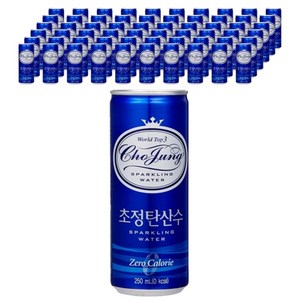 초정탄산수, 250ml, 60개