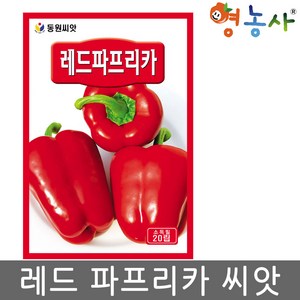 레드 파프리카 씨앗 20립 파프리카씨 종자 키우기, 레드파프리카, 1개