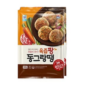 사조대림 육즙팡 동그랑땡 600g x3봉, 3개