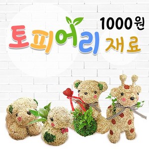 토피어리재료1000원샵/수태/이끼/체험학습/토피어리망, 기본, A2청태35g, 1개