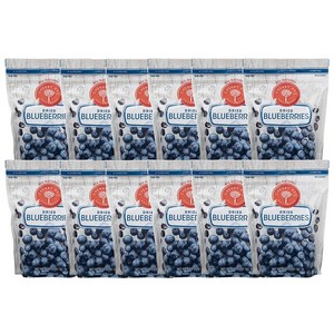 체리 베이 오차드 드라이 블루베리 170g 12팩 Cherry Bay Orchards Dried Blueberries