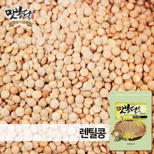 맛봉달 브라운렌틸콩 렌즈콩 렌틸콩 슈퍼푸드 캐나다산 23년산, 1개, 500g