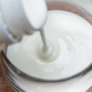 [사회적기업 임실농부] 장 건강에 아주 좋은 유산균-치즈가 플레인 요거트, 2개, 1000ml, 1개입