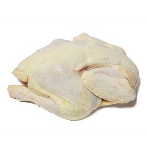 토종닭 1.5kg 생닭 백숙 몸보신 한방약재, 1개