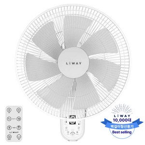 리웨이 BLDC 리모컨 벽걸이 선풍기 LWF-DC45HJ