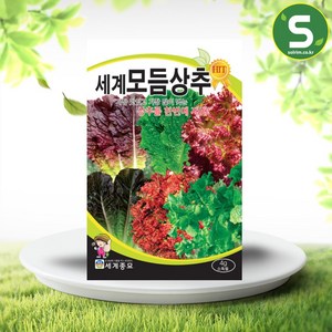 솔림텃밭몰 모듬상추씨앗 4g 상추 씨앗 종자, 1개
