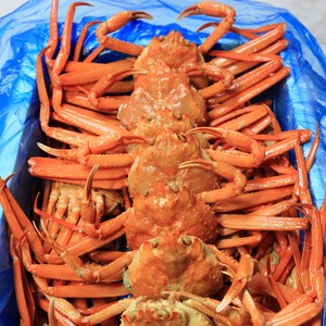 [수율꽉찬 주문진 제철홍게] 자숙 연지홍게 프리미엄 A급 우선선별 산지직송 3kg (9미~11미), 1box