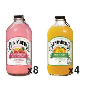 분다버그 자몽8병+망고4병, 12개, 375ml