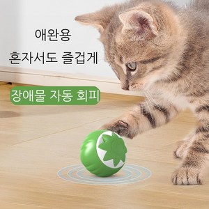 윈티크 고양이 불빛 스마트볼 잡기 호박 장난감, 1개, 라임 그린