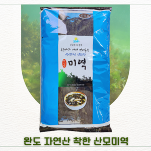 완도 자연산 착한 산모미역 마른 어린 해풍 건미역 대 800g, 1개