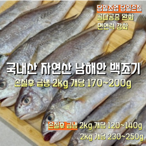 [산지직송] 국내산 자연산 남해안 손질 백조기 2300g 손질후급냉 2000g(개댱 170~200g). 2000g(개당 120~140g). 2000g(개당 230~250g) 1스, 1박스, 손질후급냉 2000g (개댱 120~140g)