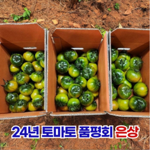 부산 대저 짭짤이 토마토 45년전통 농협인증 1.5kg 2.5kg, 대저토마토, S, 1개