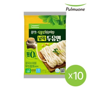 풀무원 식물성지구식단 납작두유면 150gX10개, 150g, 10개