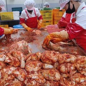 배추 포기김치 3kg 팔팔마켓 전라도 보성엔 녹차 포기김치, 1개