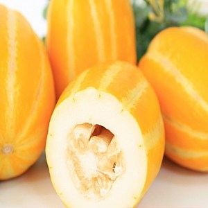 진짜 성주 꿀 참외 못난이혼합과 대용량11kg, 랜덤과, 1개