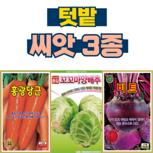 채소씨앗 3종 당근씨앗+미니양배추씨앗+비트씨앗 텃밭 종자, 1세트