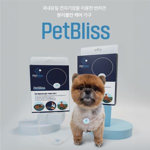 펫블리스 반려견 분리불안 케어기구, 10g, 1개