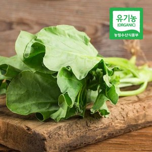 국내산 친환경 유기농 신선초 녹즙 샐러드용 주스용 쥬스용, 1박스, 1kg