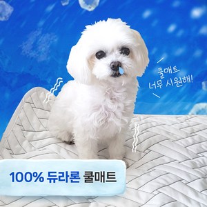 (듀라론) 강아지 쿨매트 반려견 대형 소형 쿨매트, [러그]오블리_MI 2