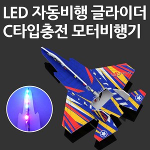 LED라이트 글라이더 자동비행 DIY C타입충전 공원놀이 1종 랜덤발송, 1개