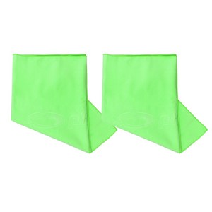 피닉스 초극세사 건식 스포츠 타올, 그린, 2개