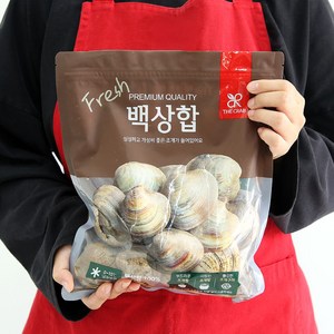 백합조개 백생합 백상합 5kg, 1개, 백합 5kg