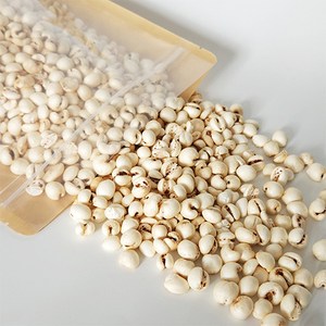 허니비 구운 율무뻥 국산 보성농협 율무 율무시리얼 뻥튀기 110g, 1개