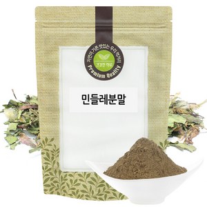 민들레 분말 가루 300g 국산 국내산, 1개