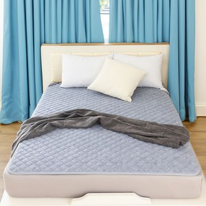 이한일 달잠 라벨르 인공지능 카본 탄소 온열 전자파없는 매트, 150 X 200 cm, 라벨르 블루