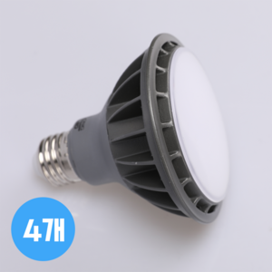 LONG 파30 LED 15W 확산형 (흰색빛 6500K), 주광색, 4개