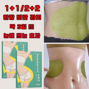 한방 12+12p/24+24p 붙이는 다이어트 패치 배꼽패치 셀룰라이트 나인슬림 복부 배찜질 뱃살빼기 슬리밍, 2개, 12개입