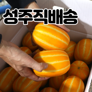 고당도 성주 참외 프리미엄 꿀참외 직거래 2kg 3kg 5kg 10kg, 1개