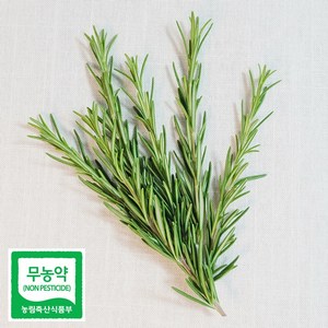 데코용로즈마리 생잎 허브 가니쉬 로즈마리, 50g, 1개