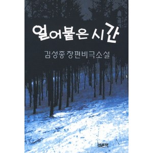 얼어붙은 시간:김성종 장편비극소설, 바른책, 김성종 저