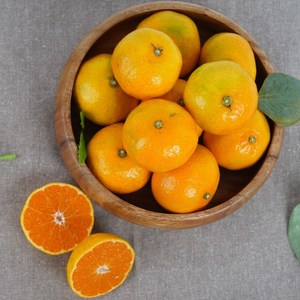 제주 고당도 비가림 하우스감귤 1.5kg 3kg 5kg