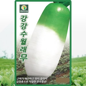 다농 강강수월래무 씨앗 20g 가을 김장무씨 종자, 1개