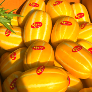 당도선별 성주 참외 고당도 선별 특품, 1개, 3kg 로얄 (10과 내외)