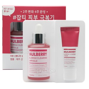 어퓨 산뽕나무 잡티 앰플 50ml 대용량 기획세트, 1개