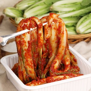 셰프애찬 박셰프 얼갈이 통 김치 정성가득 겉절이 별미김치 맛김치, 1kg, 1개