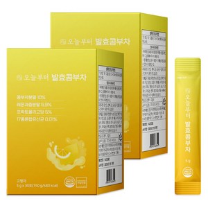 오늘부터 발효콤부차 레몬 다이어트차 홍차 콤부차 꼼부차, 150g, 2개