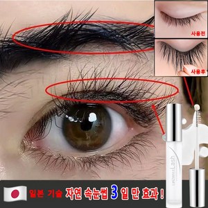 [일본기술] 1/1+1 속눈썹 영양제 아이래쉬 세럼 속눈썹 강화 블랙 리페어 탄력 멀티 케어 헤어라인 눈썹 연장 에센스 생장제 추천, 2개, 투명