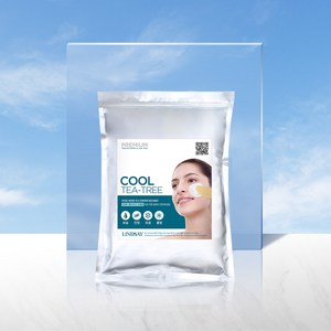 린제이 프리미엄 티트리 모델링팩 1kg, 1개입, 1개