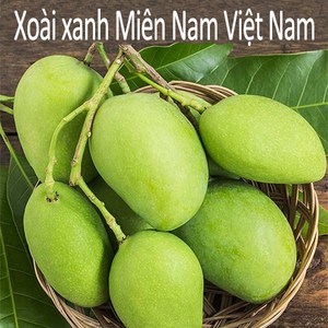 Thomy 베트남 항공직송 그린망고 2.5kg 5kg (Xoai keo tuong tu quy hat lep), 1개, Xoai keo 2.5kg