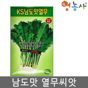 남도맛 열무씨앗 25g 부드러운 판엽형 열무 쌈용가능, 1개