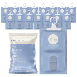 물먹는뽀송 매일매일이 뽀송한 옷장용 제습제, 200g, 200g 16개