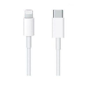 Apple 정품 Lightning-C타입 충전 케이블, 1m, 1개