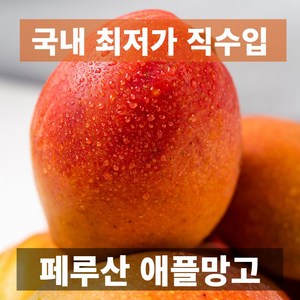 금메달농수산 프리미엄 특품 페루산 애플망고, 1개, 2kg (5과 내외)