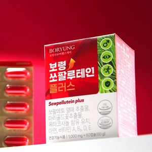 보령 쏘팔루테인플러스 10개월분(5박스), 5박스, 300정